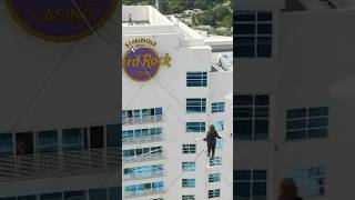 Wallenda family walks the high wire in Florida shorts shortsvideo [upl. by Ahsilaf231]