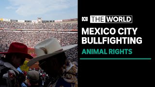 Activists in Mexico City protest the return of bullfighting  The World [upl. by Seton]