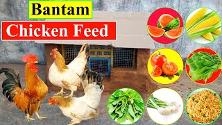 Best Organic Chicken Feed for Laying Hens  Bantam Chickens  Chicken Food  BirdsandAnimalsPlanet [upl. by Nylhtac860]