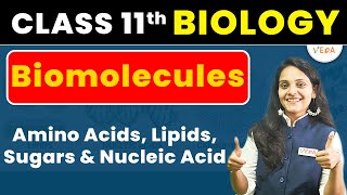 Amino Acids Lipids Sugars and Nucleic Acid  Biomolecules  class 11  Biology  One Day One Topic [upl. by Anahsit]