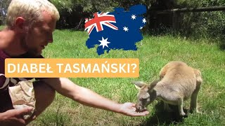 12 AUSTRALIA autostopem  Wszystkie zwierzęta Australii [upl. by Garratt511]