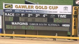 Gawler23102024Race8 [upl. by Wren]