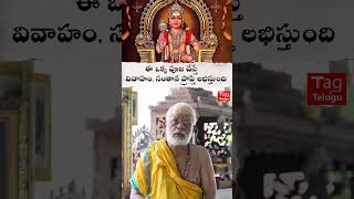 ఈ ఒక్క పూజ చేస్తే చాలు Ayyappa Swamy Niyamaalu kanneswamy shorts tagtelugu [upl. by Eniagrom]