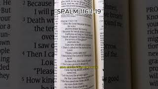 Psalm 116119 bible gospel jesus worshipsongsshorst [upl. by Can]