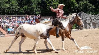 🔸ELSPE 🔸 772024🔸RODEO SHOW [upl. by Sherry]