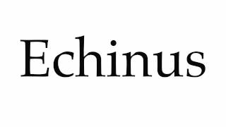 How to Pronounce Echinus [upl. by Sheffy857]