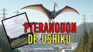 PTERANODON DE USHIKU ¿Reptiles Voladores en Japón  Criptozoologia [upl. by Anerhs235]