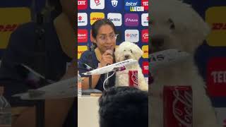 Pumas presenta la campaña “ADOPTA UN AMIGO” para rescatar a perritos sin hogar [upl. by Reed]