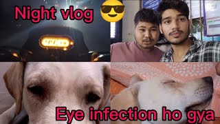 Night vlog 😎 Simba ki eye me infection ho gya 😓 [upl. by Anelrad]