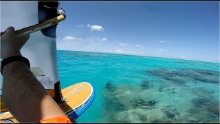 Nipping Shrew de Reefs Spring 2015  Bermuda Windsurfing Starboard Free Formula [upl. by Ylloj586]