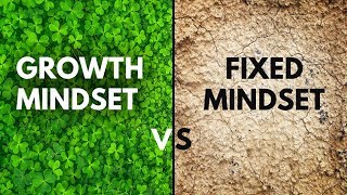 Do You Have A Fixed Mindset  Growth Vs Fixed Mindset  Carol Dweck [upl. by Berny]