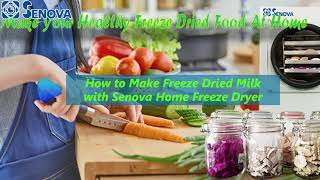 How to Make Freeze Dried Milk with Senova Small Medium Large Home Freeze Dryer [upl. by Aramad]