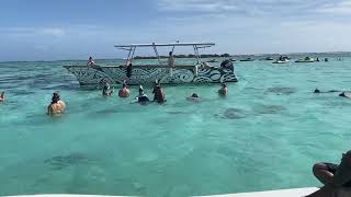 Moorea Sharks and Rays [upl. by Erdeid]