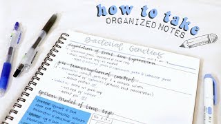 how to take organized notes amp study effectively  christylynn [upl. by Aronson]