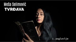 Tvrđava Meša Selimović prvo poglavlje  Studio Din [upl. by Asiret]