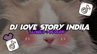 DJ LOVE STORY INDILA SLOWED  REVERB MANGKANE [upl. by Pedro]