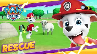 Paw Patrol Academy  Mighty Pups Rescue Team Save The Animals Friends  Fun Pet Games For Kids [upl. by Nanette]