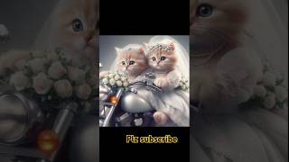 ai cat story 8cute cat song trendingshorts cat songspidermanسبايدر مان ai cat wedding dress [upl. by Sinnel23]