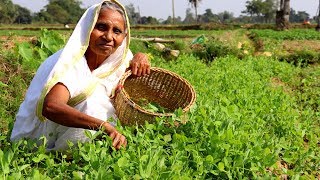 Farm Fresh Matar Shag Ghanta Recipe by our Grandmother  Indian Bangali Village Food [upl. by Ruperto4]