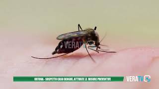 Ortona  Sospetto caso di dengue attivate le misure preventive [upl. by Sherl]