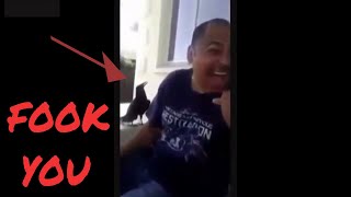 Funniest Cursing Birds Compilation MUST SEE 🐦🐦 [upl. by Eiggem61]