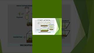 Micropropagation in Plant Tissue Culture conceptsofbotany micropropagation clonalpropagation [upl. by Clute502]