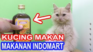 EKSPERIMEN KUCING MAKAN MAKANAN INDOMART [upl. by Rodrich]