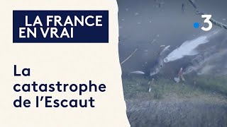 LA CATASTROPHE DE LESCAUT  Documentaire [upl. by Einnim]