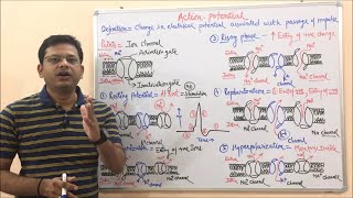 Class 452 Action Potential  Depolarization  Repolarization  Hyperpolarization  Medichem 01 [upl. by Erkan]