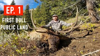 Idaho Rifle Elk Hunt  GIANT FIRST BULL [upl. by Nommad]