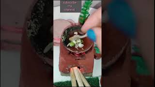 Punjabi Thali  Punjabi Thali Recipe  12  mini foodkey viral ytshorts cooking [upl. by Ailemrac]