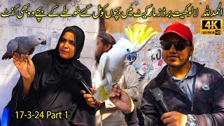 Lalukhet Exotic Hen and Rooster Birds Market Karachi  Rare and Unique Birds and Parrots سوق الطيور [upl. by Dubenko]