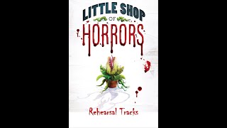 Little Shop of Horrors  1  Prologue  Little Shop [upl. by Marleen]