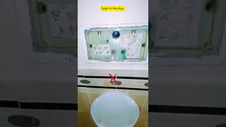 Geberit toilet fill valve trick to stop water leaking continuously youtubeshortsgeberitsubscribe [upl. by Lapointe]