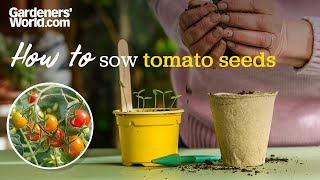 How to sow tomato seeds  Rosie Yeomans [upl. by Rovaert657]