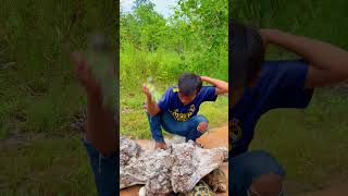 Man puts turtle under hole and parrotlove [upl. by Haveman]