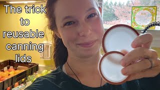 Reusable Tattler canning lids vs Ball disposal lids trick to avoid seal failure [upl. by Caty688]