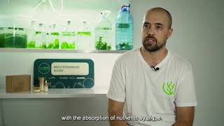 Caso de éxito del programa GREENinMED  Mediterranean Algae [upl. by Brantley]