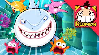 Shark song  Animal Songs  Nursery Rhymes  Babyshark song  REDMON [upl. by Atteynod]