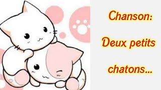 Chanson deux petits chatons  maternelle grande section [upl. by Ivanna]