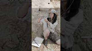 🤯 What is Fossil shorts facts fossil paleontology fossil viral youtubeshorts [upl. by Marcin]