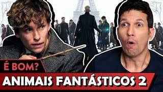 ANIMAIS FANTÁSTICOS OS CRIMES DE GRINDELWALD é bom  Vale Crítica [upl. by Buhler]