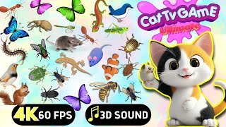 CAT GAMES  Ultimate Cat TV Compilation SPECIAL VOLUME 24  8 HOURS  NO ADS 🐝🐞🦋🦎🦜🐜🐭🧵 [upl. by Patience]