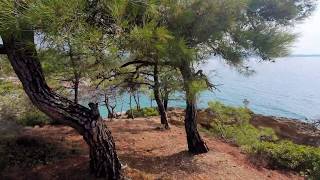 Best in Greece Forest view from Tripiti beach Thassos [upl. by Arel834]