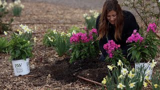 Planting New Varieties of MonardaPhlox in the RAIN 💦  Amaranth Seeds 🌿💚🌸 [upl. by Ramos]