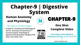 Chapter9 Digestive System Complete Class DPharm digestive system d pharma 1st year notes [upl. by Nednil]