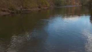 Canadian Sportfishing Float Jigging for migratory brown trout Oak Orchard NY Csf 23 06 02 [upl. by Thorvald]