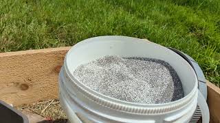 Planting clover in the cow pasture in August [upl. by Salohcim]