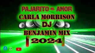 pajarito del amor Carla Morrison Dj Benjamin mix [upl. by Bolton]