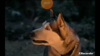 K9 Advantix II Campfire Commercial 2019 15 Second Version [upl. by Salomi860]